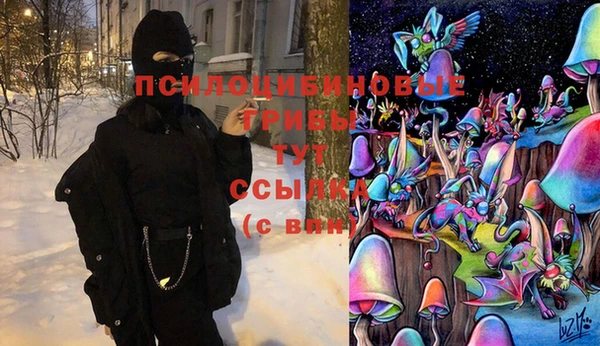 таблы Горнозаводск